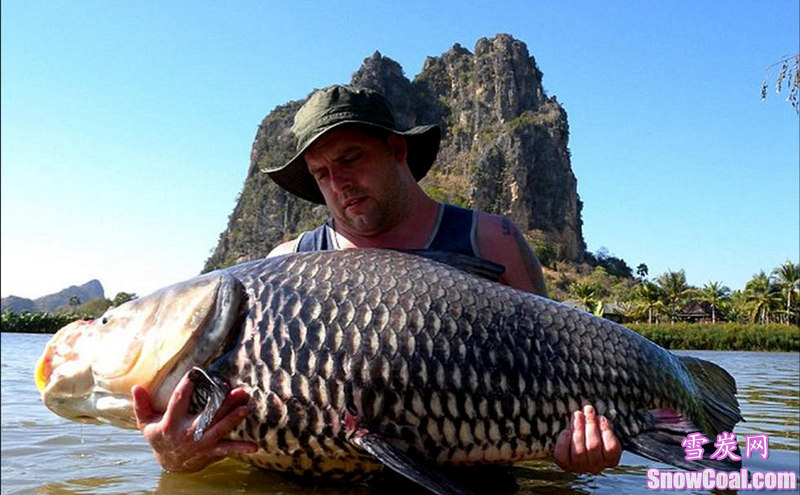 盘点世界上钓到的最大的鱼[3],钓鱼世界上最大的鱼趣