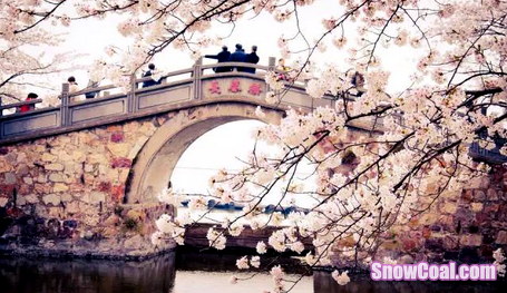 三四月份最适合南京人的赏花踏青旅游胜地【含路线】