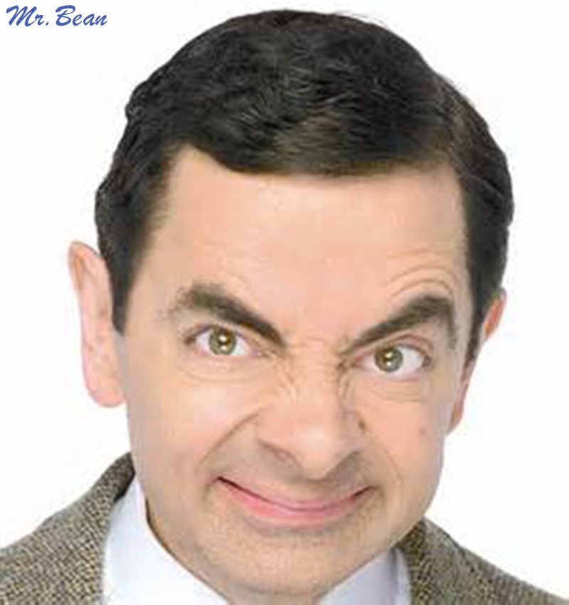 Mr.Bean,VS,Sheldon,Cooper,明星sheldonMr.Bean